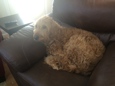 Jake