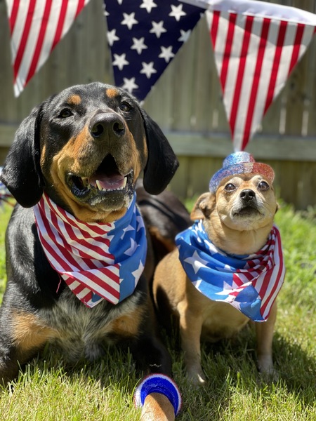 Stanley and Taco 