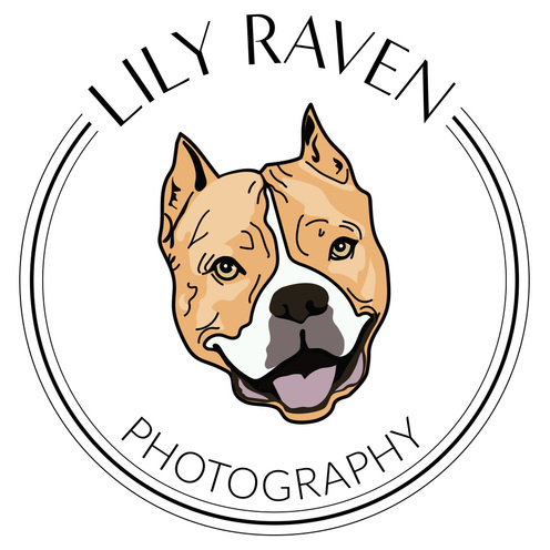 https://www.lilyravenphotography.com/