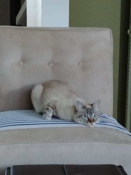 Pearl