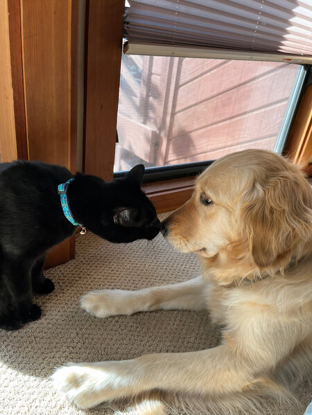 Casper & Kona