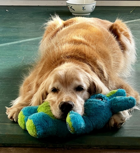 Max