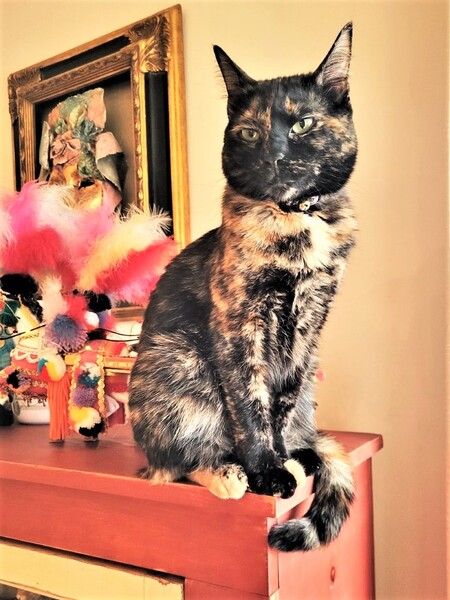 Luna