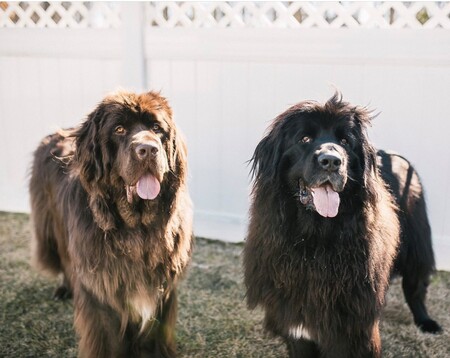 Boomer & Bauer