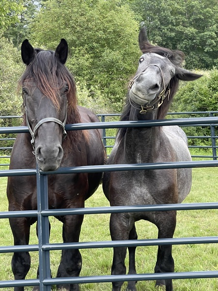 Cole and Luna 