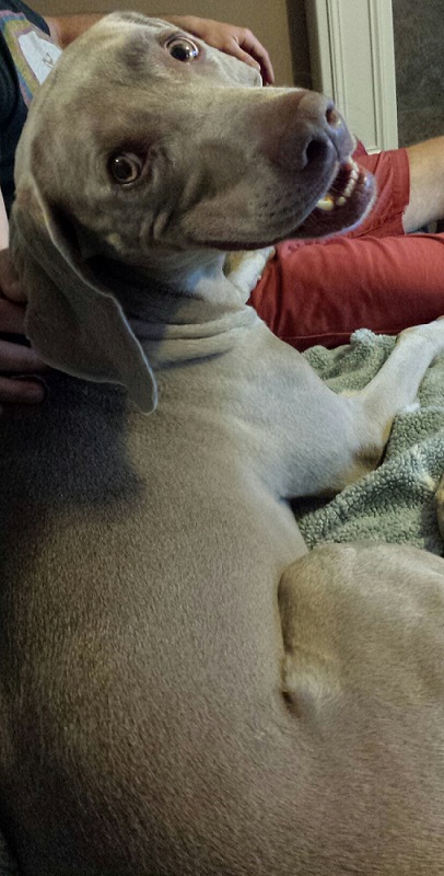 Duke