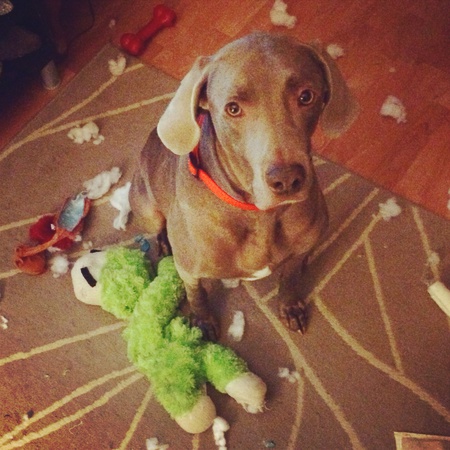 Remi
