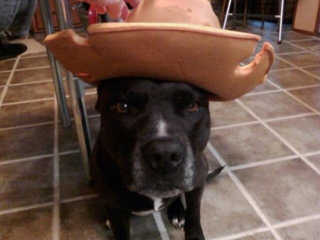 Pablo-GO PACKERS,