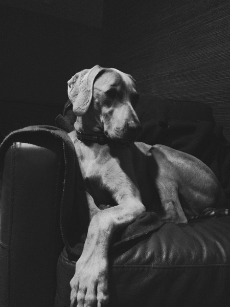Oliver