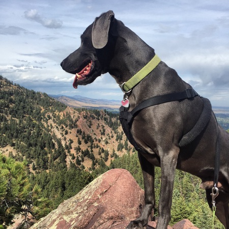 Jasper 
