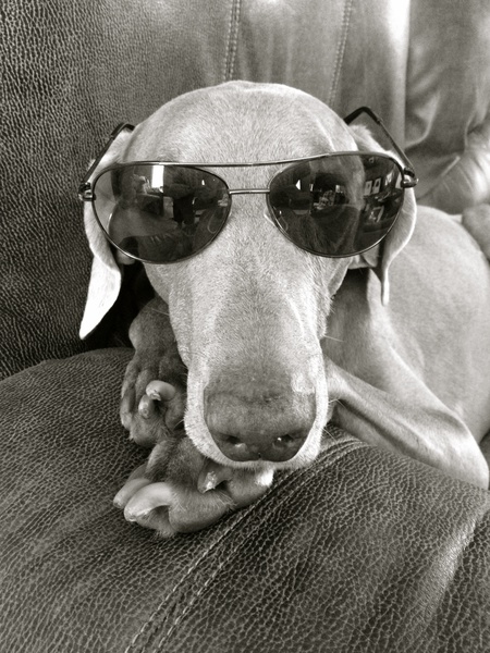 Grady