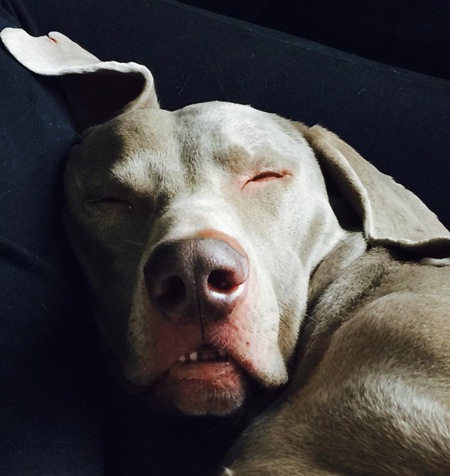 Oakley