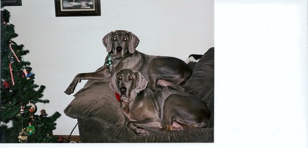 Lily and Krista