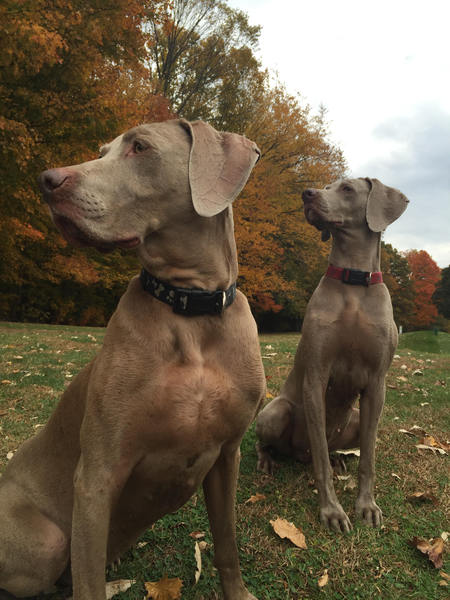 Jack (formerly Jake) and Maddie