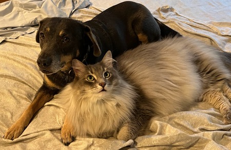 Mimsy & Daisy
