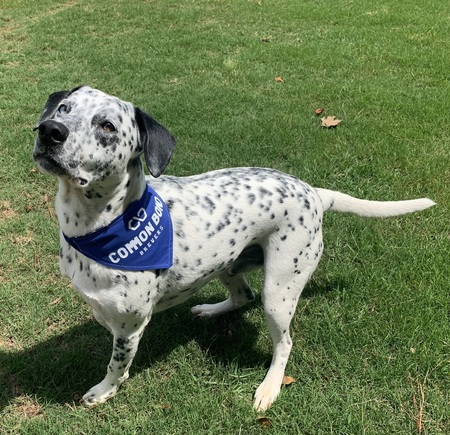 Duke
