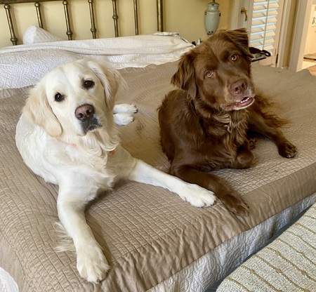 Abby & Larry