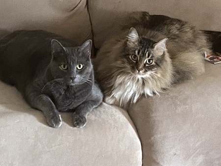 Sheila and Max
