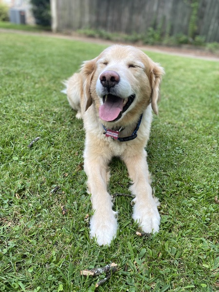 Riley