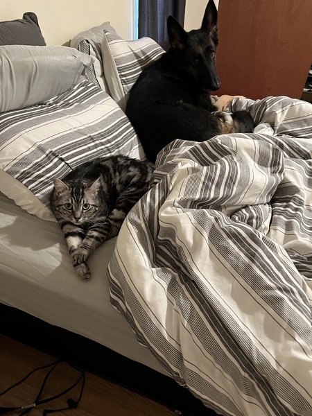 Rhaegar and Tundra