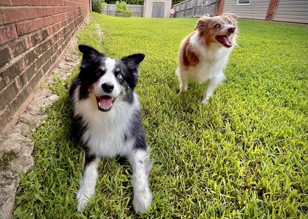 Dutch & Revy