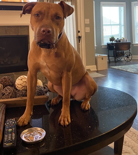 Stormy