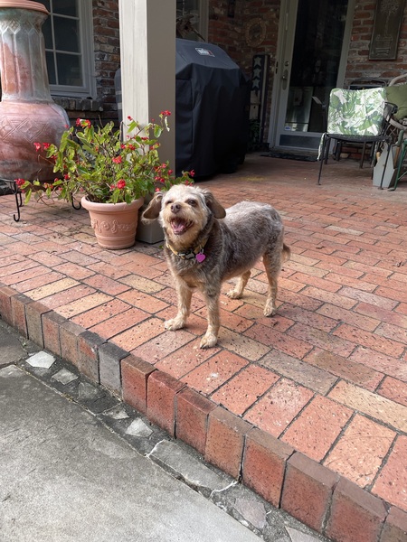 Coco