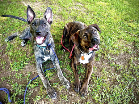 Zora & Xanadu