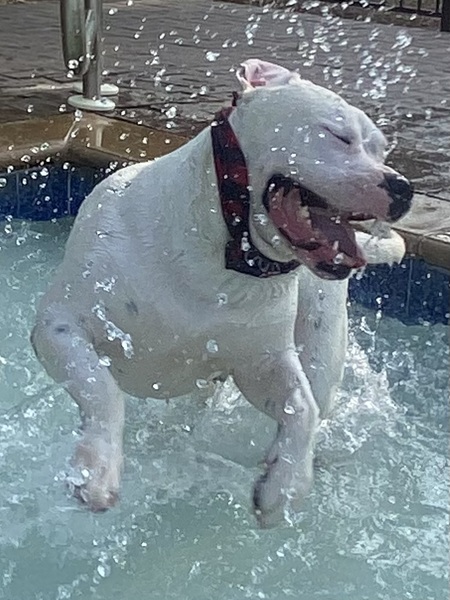 GOOB