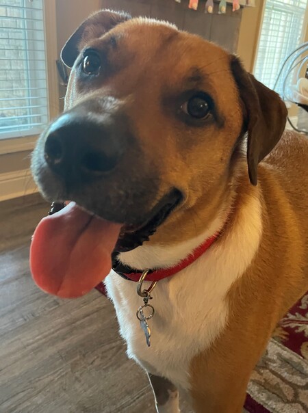 Tucker