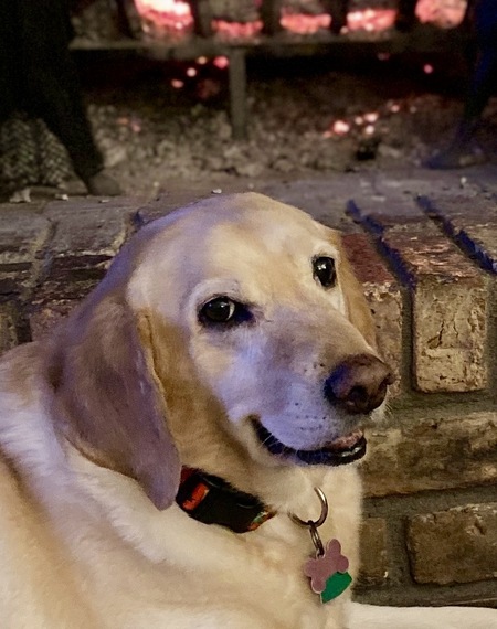 In Memory of Sandy