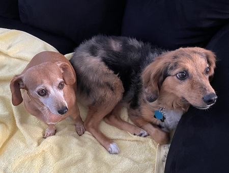 Penny Lane and Luna