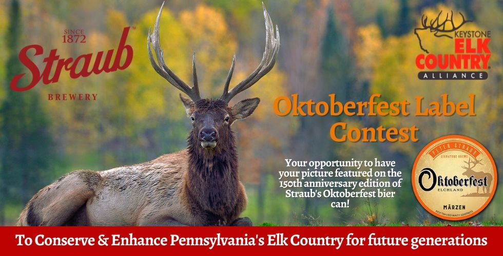 Banner for KECA's 2023 Straub Oktoberfest Bier Can Label Contest