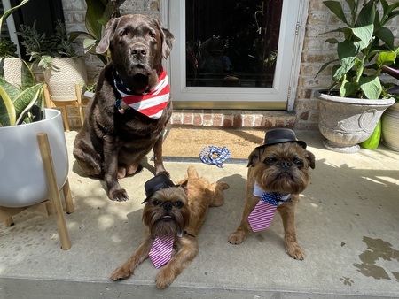 Abby, Howie & Sharkie 