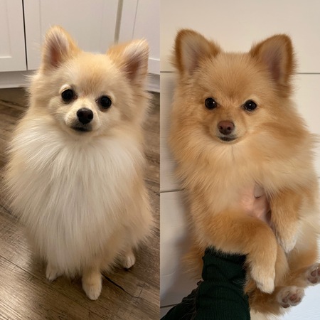 Mack & Arlo 