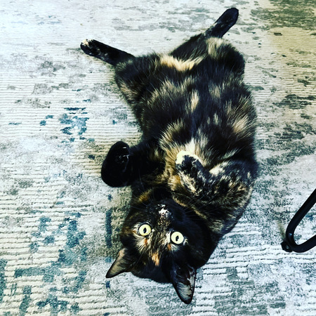 Coco