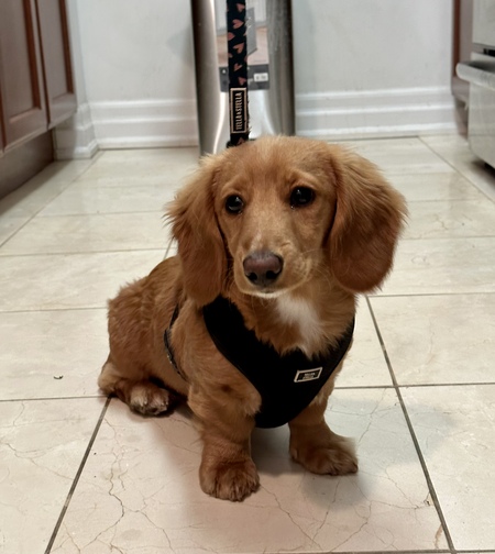 Ralph