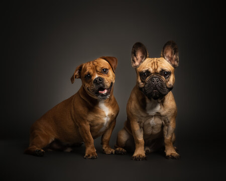 Turk and Tank