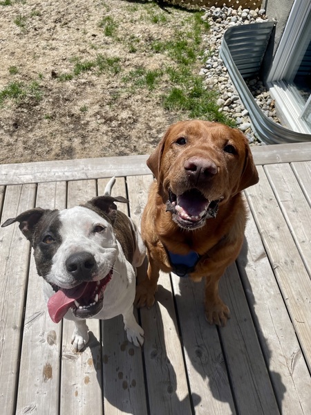 Siggy & Odin