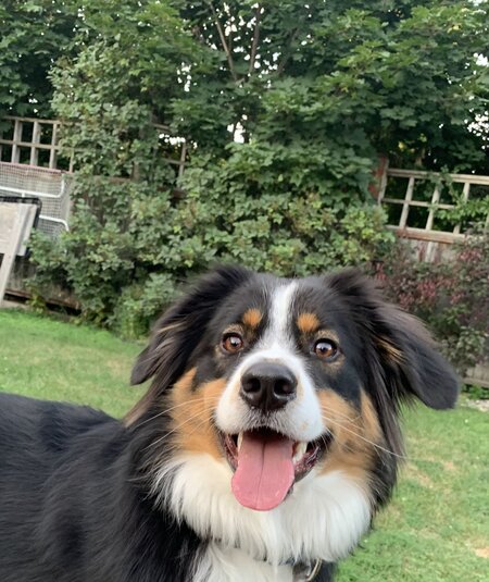 Finn