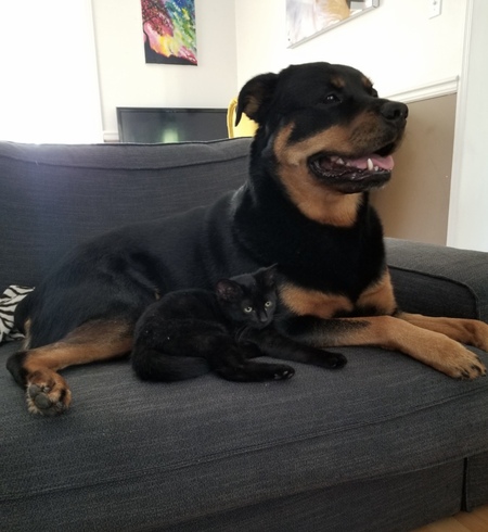 Dora & Cali