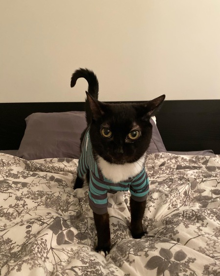 Mim