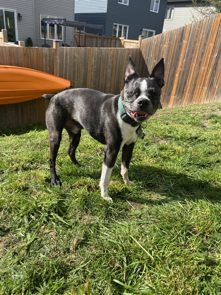 Leroy