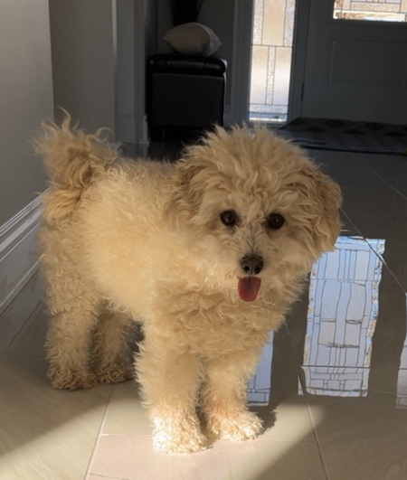Molly 