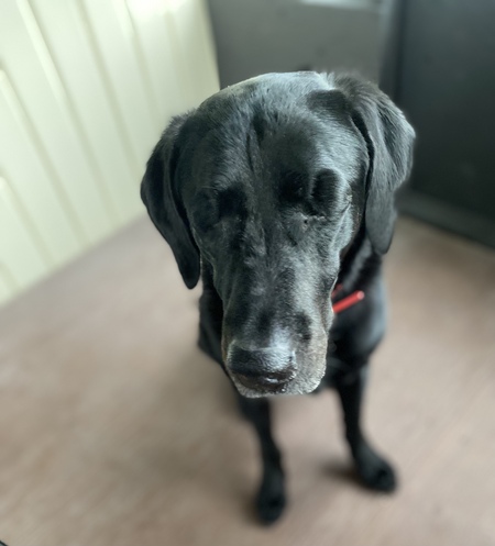 Tux
