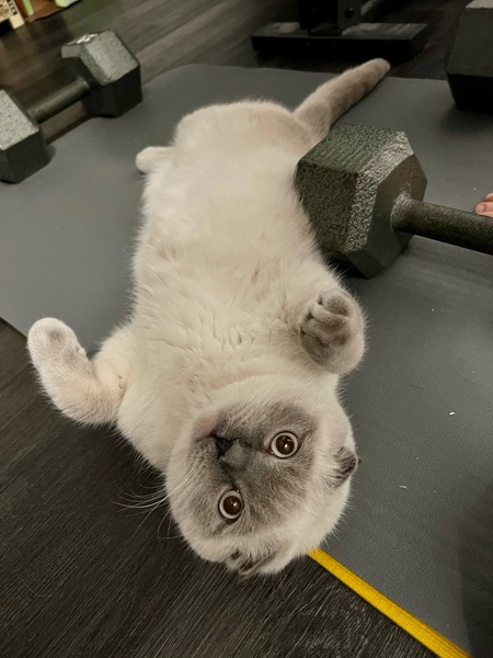 Leo
