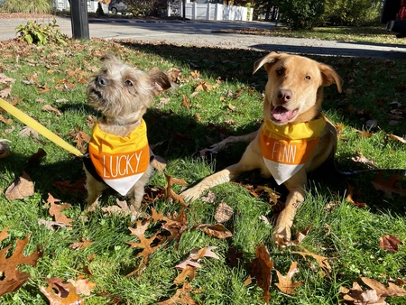 Lucky & Finn