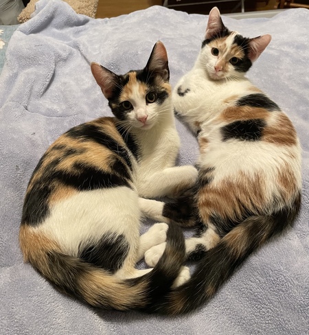 Lilly & Ellie