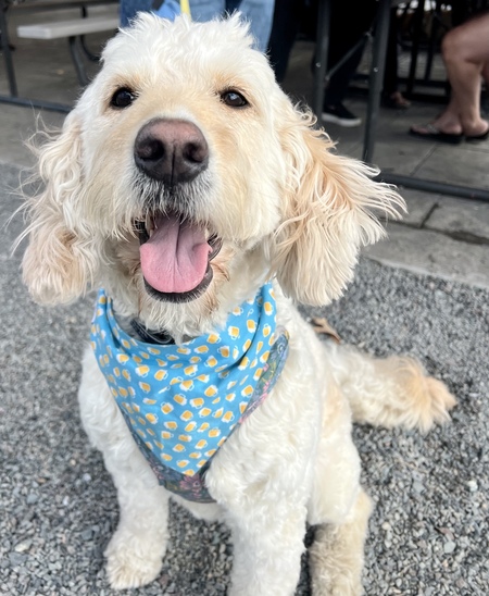 Chloe