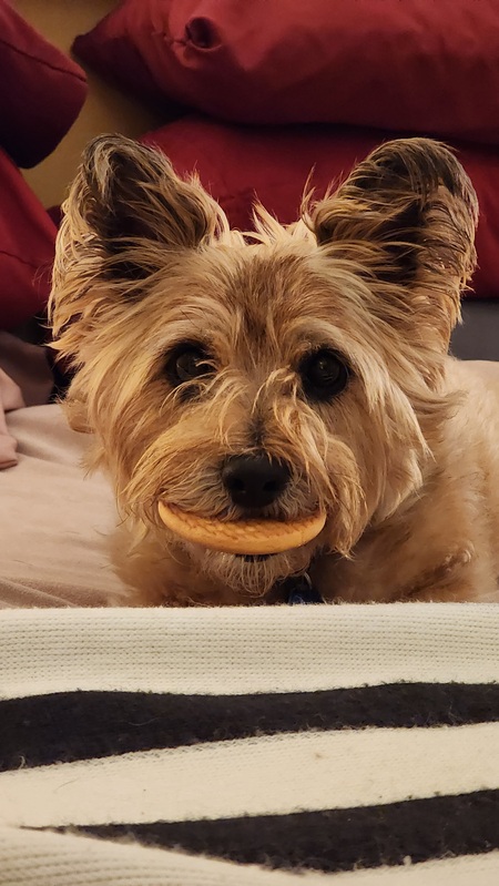 Coco